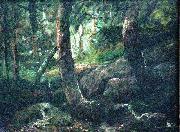 Antonio Parreiras Interior of a forest oil